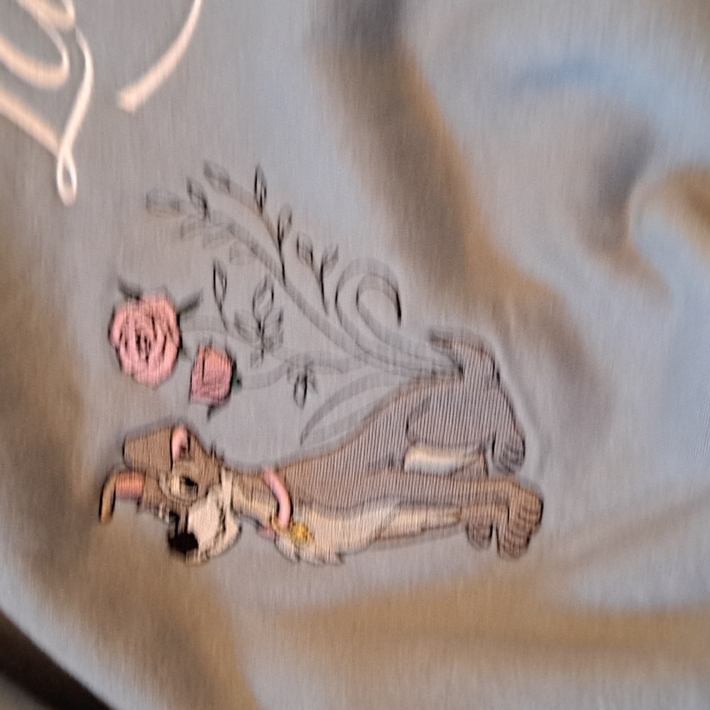 Disney Blue Lady and the Tramp Women's Hoodie - Picture 6 of 16